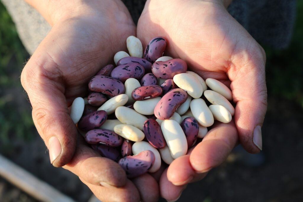 Can Legumes Help Alleviate Symptoms Of Irritable Bowel Syndrome (IBS)?