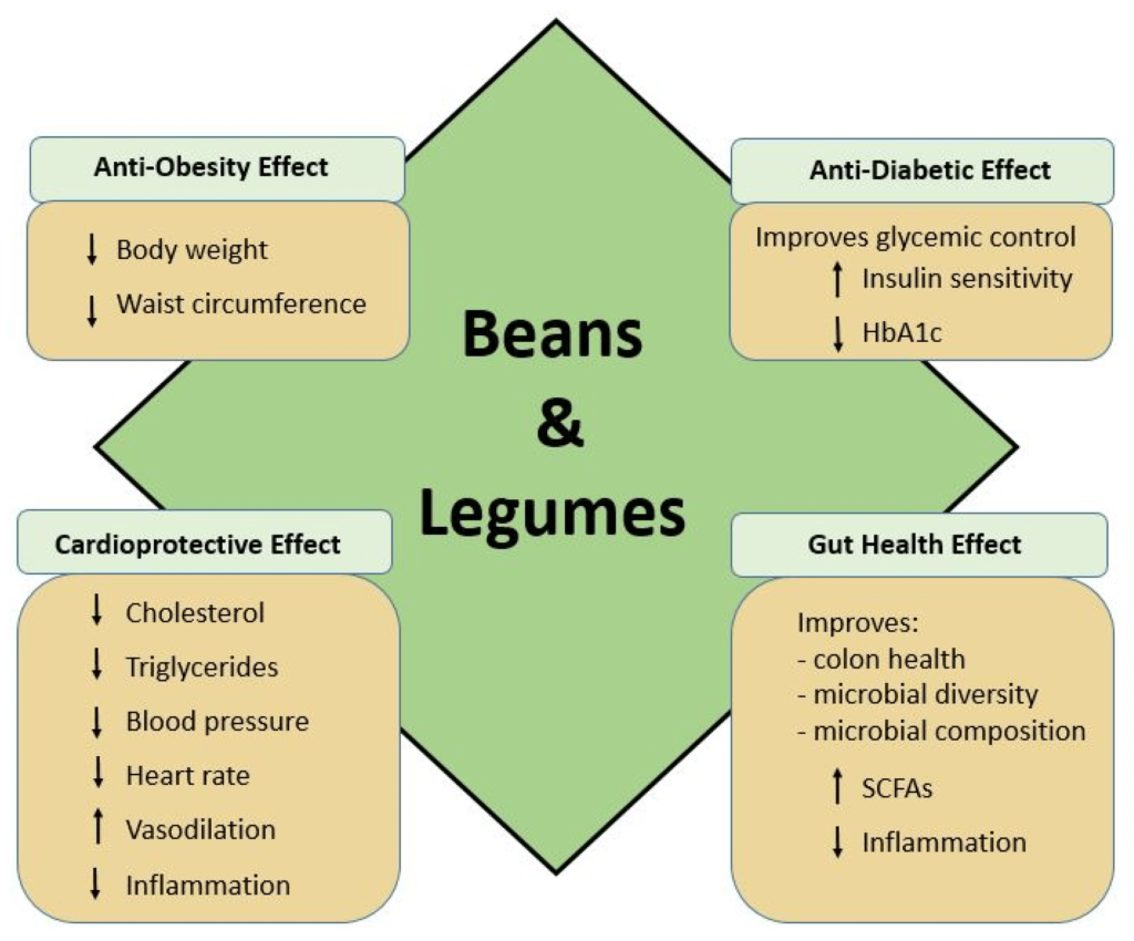 How Do Legumes Compare To Other Plant-based Foods In Terms Of Gut Health Benefits?