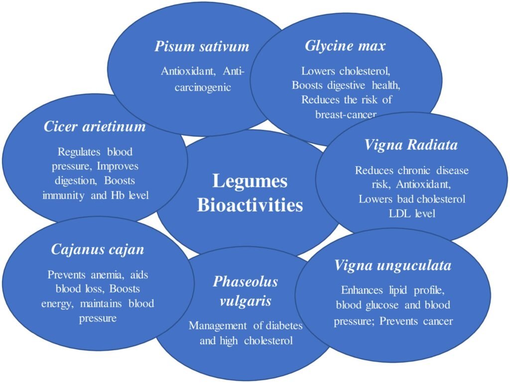 How Do Legumes Compare To Other Plant-based Foods In Terms Of Gut Health Benefits?