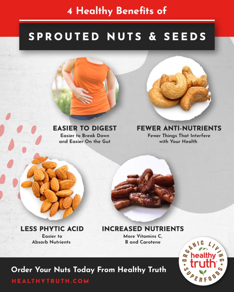 How Do Nuts And Seeds Compare To Other Plant-based Foods In Terms Of Gut Health Benefits?