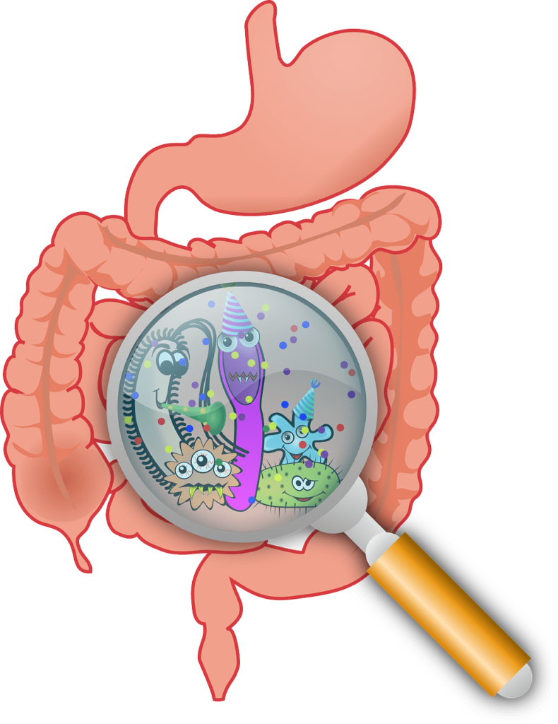 How Do Vegetables Affect Gut PH Levels?