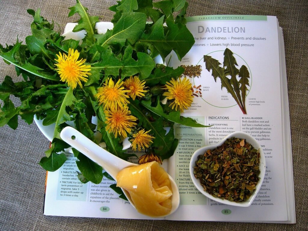 Are There Any Contraindications For Using Herbs For Gut Health?