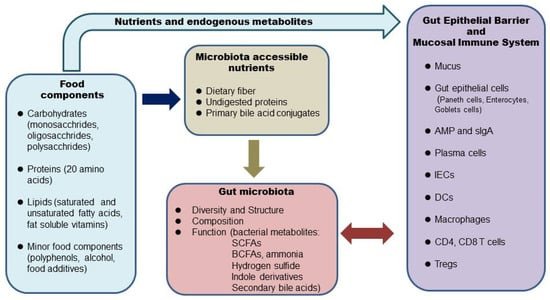 Do Nuts And Seeds Have Any Adverse Effects On Gut Microbiome Balance?