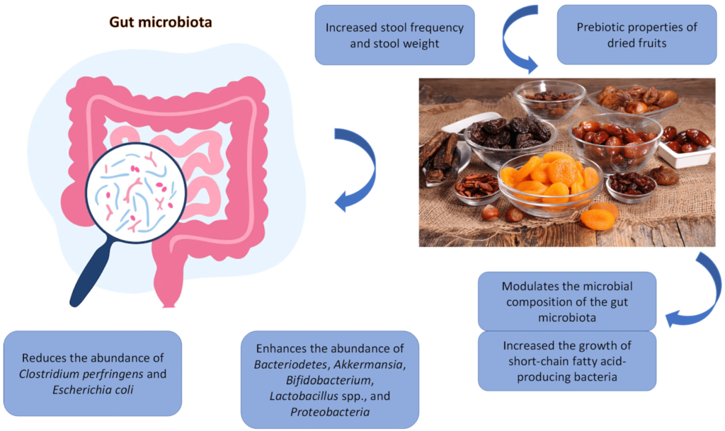 Do Nuts And Seeds Have Any Adverse Effects On Gut Microbiome Balance?