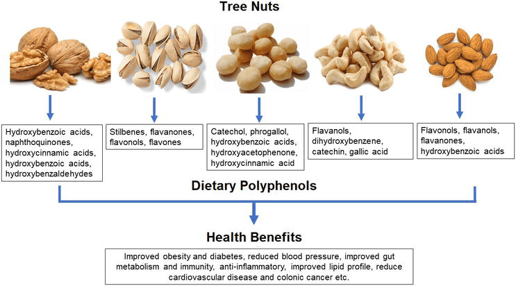 Do Nuts And Seeds Have Any Impact On Gut Hormone Regulation?