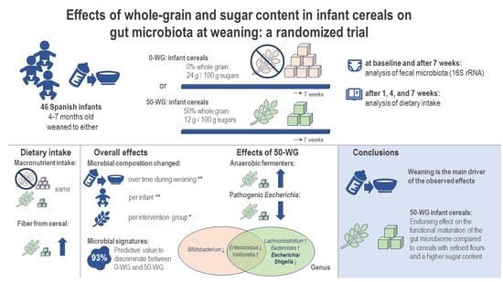 Do Whole Grains Have Any Adverse Effects On Gut Microbiome Balance?