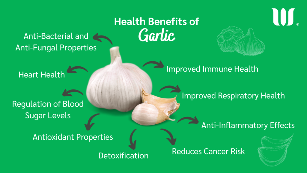 Can Garlic Help Maintain A Healthy Gut Microbiota?