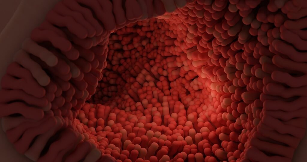 How Do Bitter Herbs Promote Digestion?