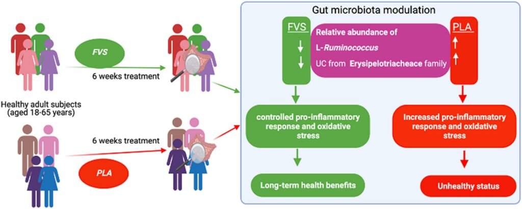 What Role Do Vegetables Play In Modulating Gut Inflammation?