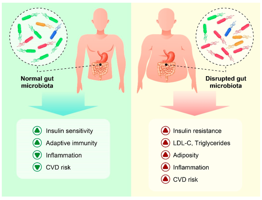 What Role Do Vegetables Play In Modulating Gut Inflammation?
