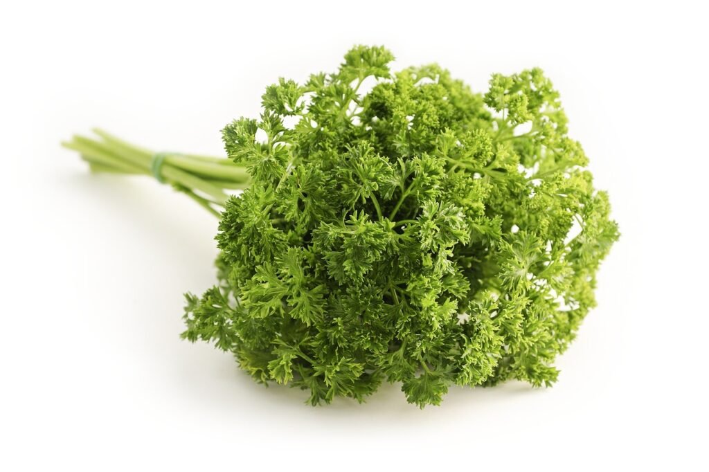 Can Parsley Help In Maintaining Gut Health?