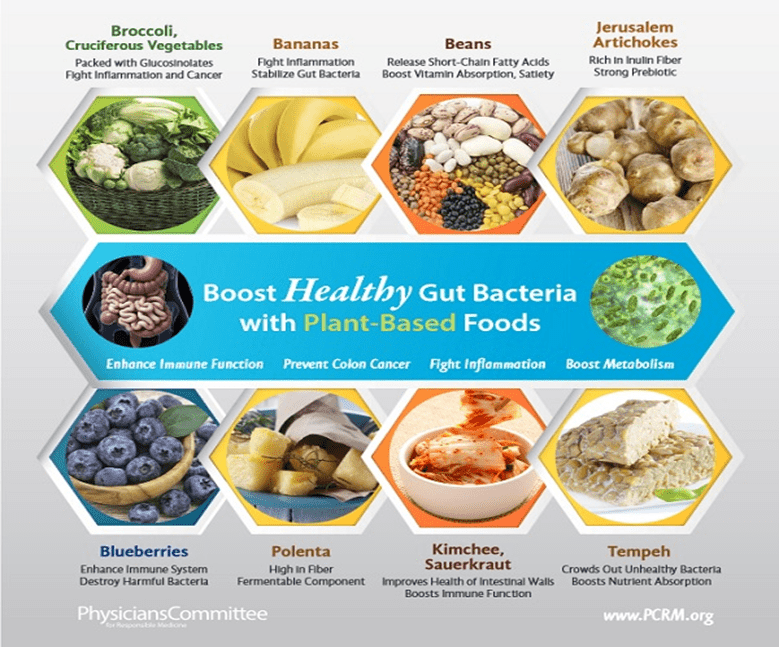 Can Vegetables Help Improve Gut Immunity?