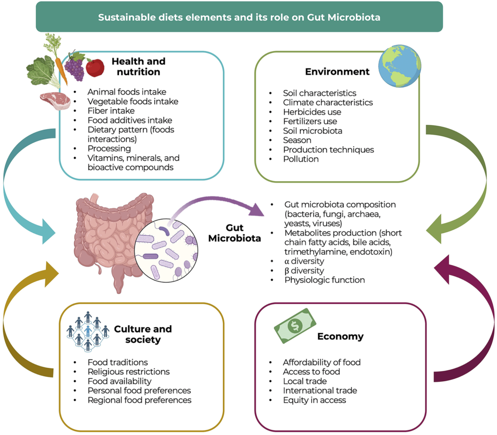 How Do Legumes Contribute To The Diversity Of Gut Microbiota?